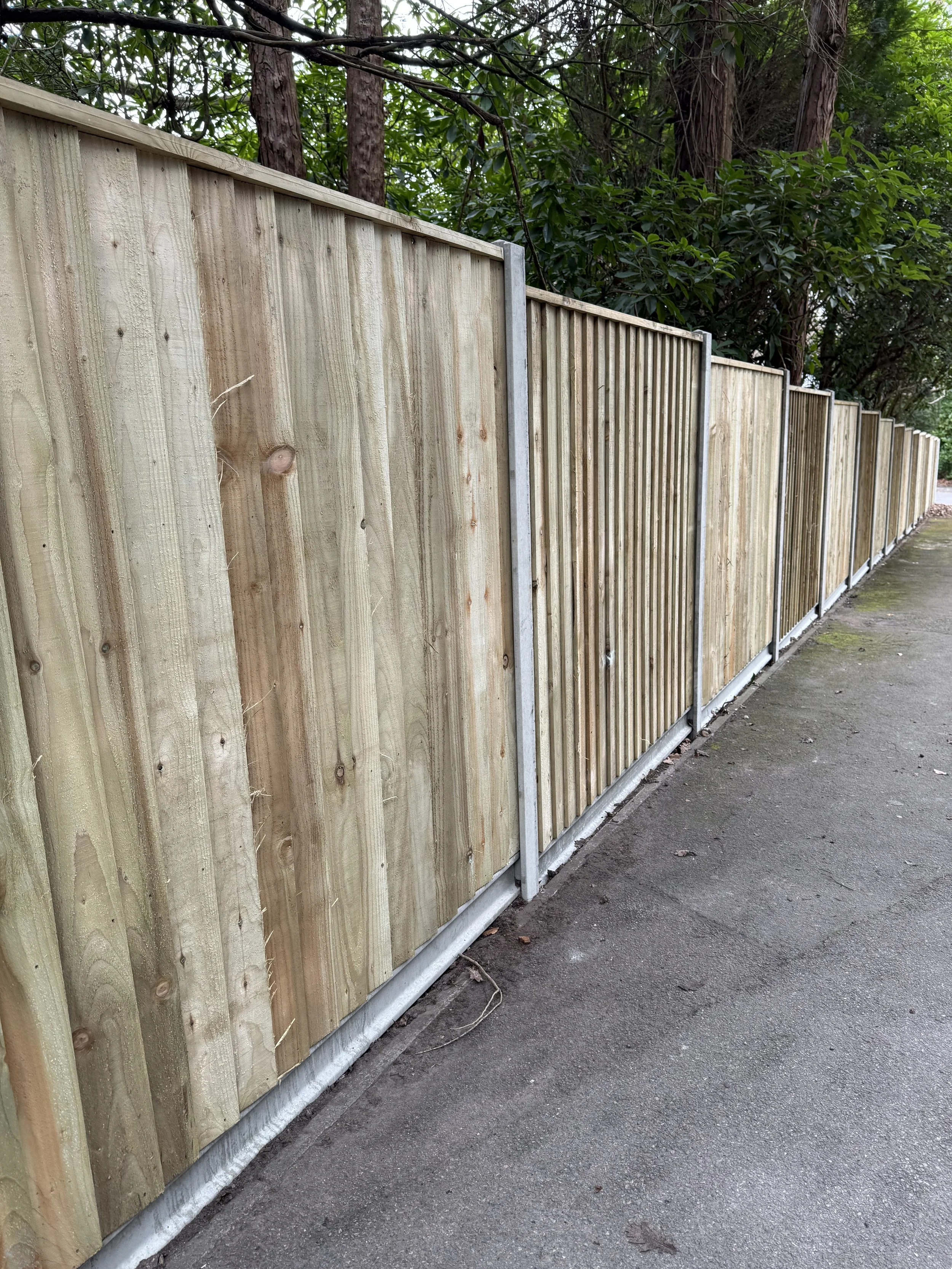 Recent fencing project