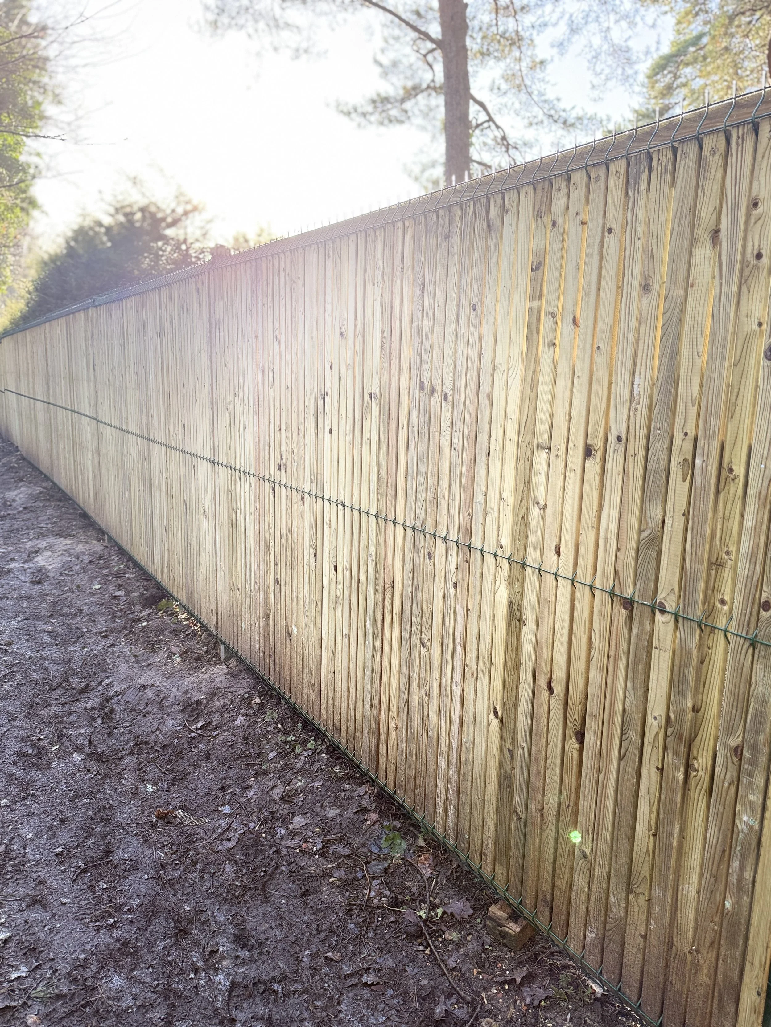 Recent fencing project